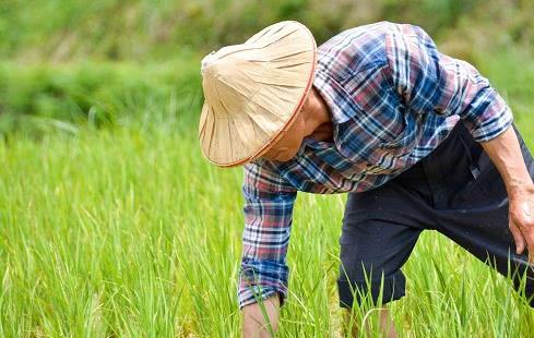 農(nóng)村俗語 窮在鬧市無人問, 富在山間有遠(yuǎn)親 , 事實真是這樣嗎