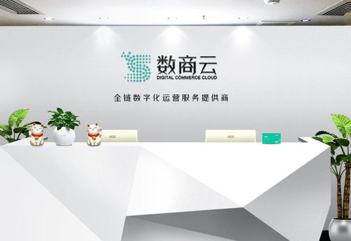 廣州市數(shù)商云網(wǎng)絡(luò)科技 專業(yè)的計(jì)算機(jī)服務(wù)解決方案